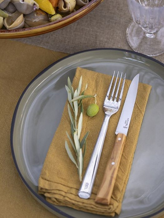 Opinel Zestaw Noży Stołowych Bon Apetite! Olive