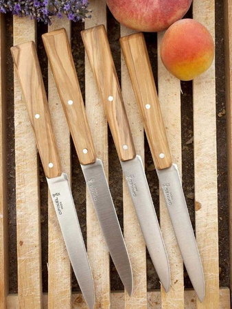 Opinel Zestaw Noży Stołowych Bon Apetite! Olive